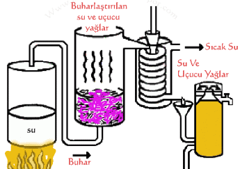 BİTKİSEL YAĞLARIN ELDE ETME METODLARI 